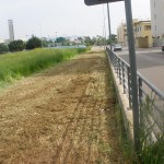 Diserbamento nelle periferie