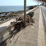 Cumuli in attesa della rimozione.