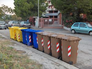 La raccolta dell'umido